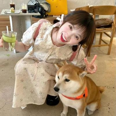 永远恋爱真美